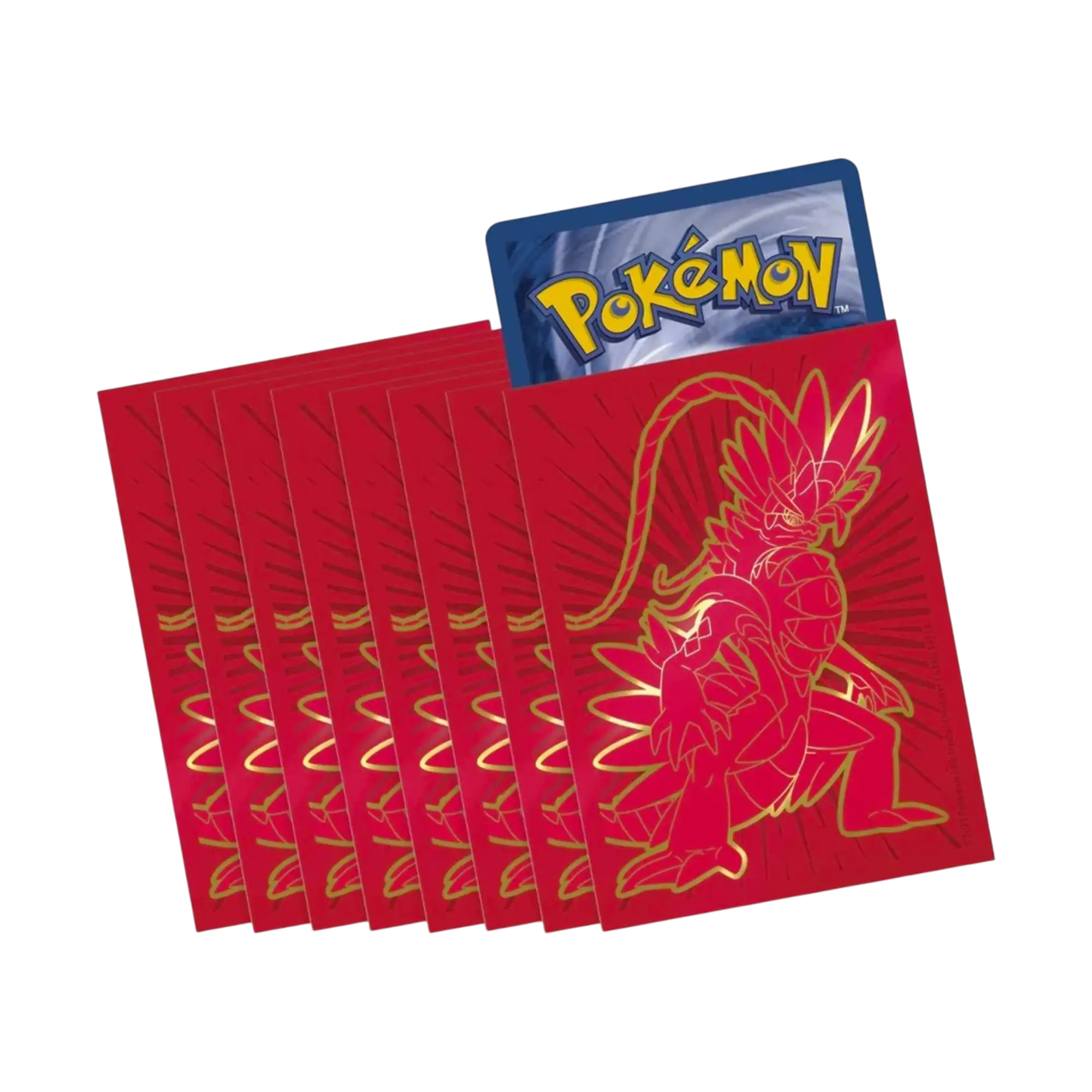 Pokémon Scarlet & Violet Koraidon Card Sleeves (65 Pack) 1 Pokémon Scarlet & Violet Koraidon Card Sleeves (65 Pack)