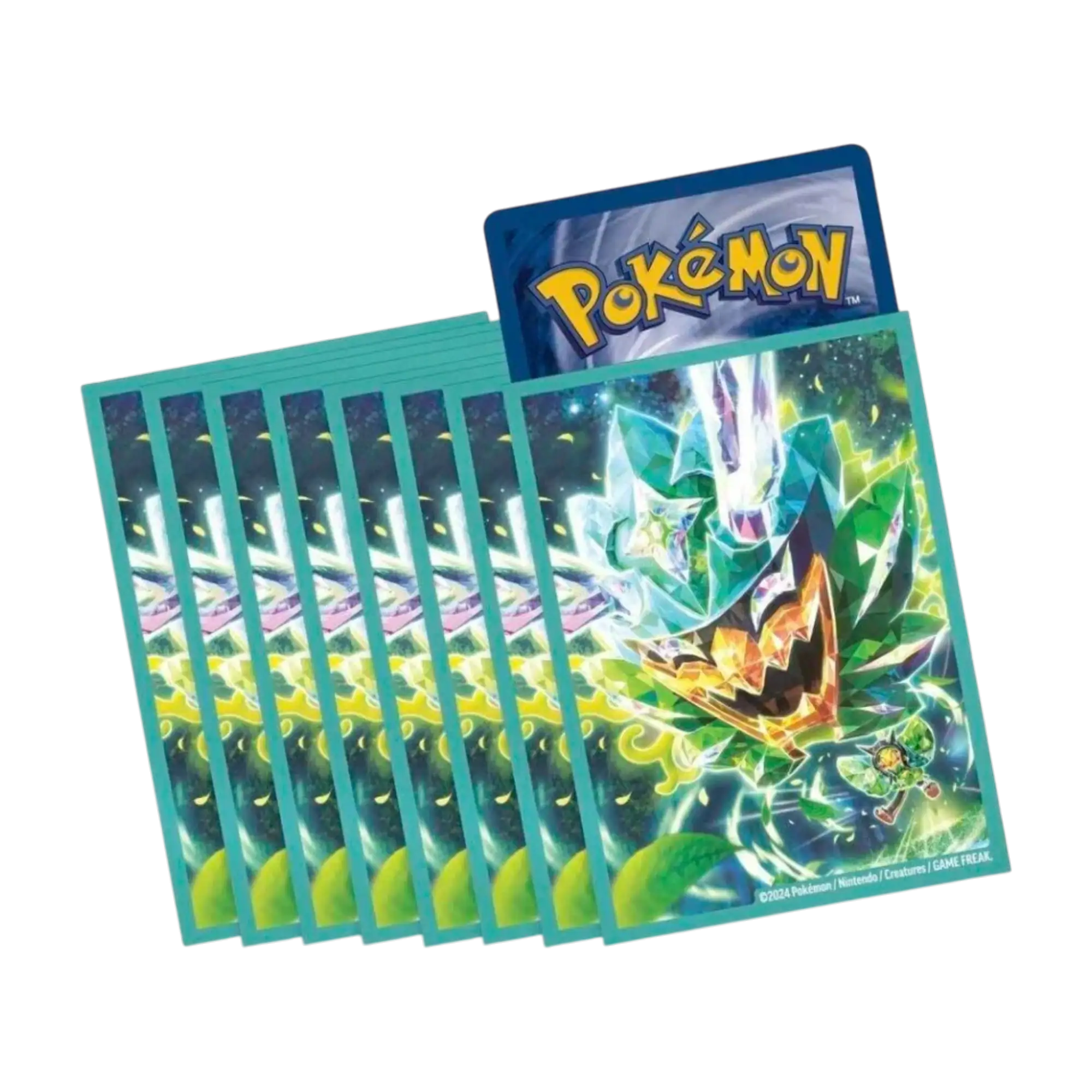 Pokémon Ogerpon Ex Premium Collection Card Sleeves (65 Pack) 1 Pokémon Ogerpon Ex Premium Collection Card Sleeves