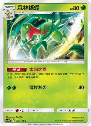 Grovyle (CN)