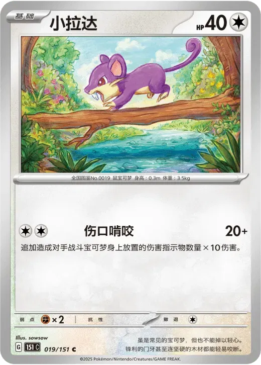 Rattata (CN)
