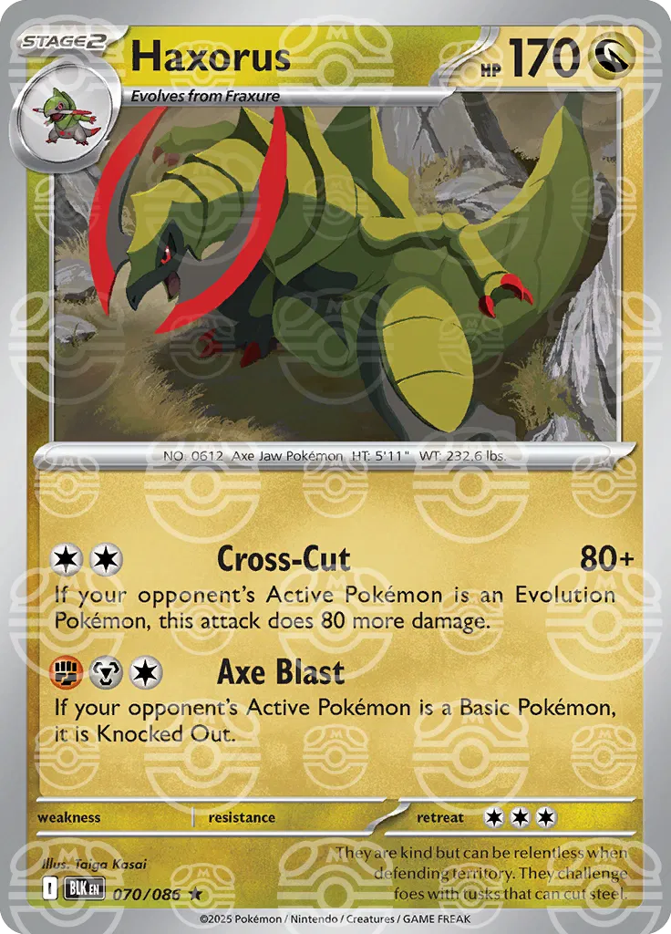 Haxorus (Master Ball Pattern)