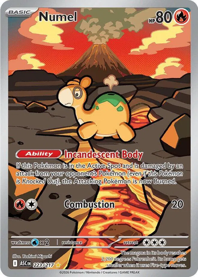 Numel