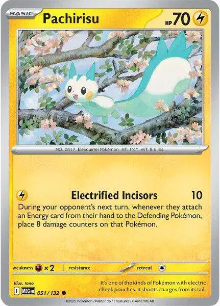 Pachirisu