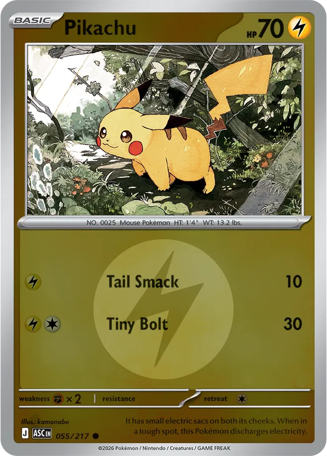 Pikachu (Energy Symbol Pattern)