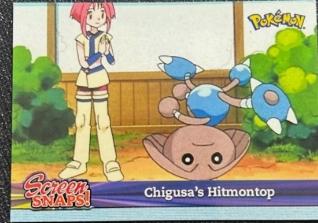 Chigusa's Hitmontop #Snap09
