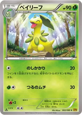 Bayleef (JP)