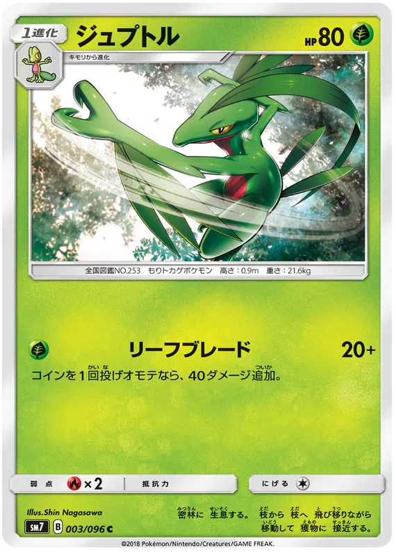Grovyle (JP)