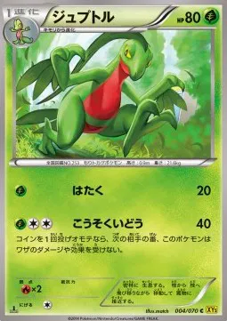 Grovyle (JP)