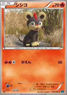 Litleo (JP)