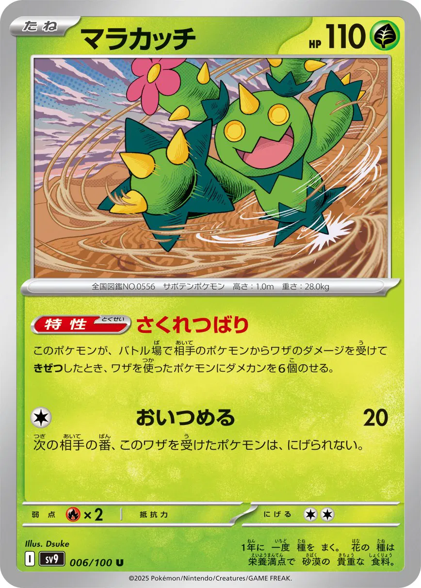 Maractus (JP)