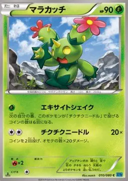 Maractus (JP)