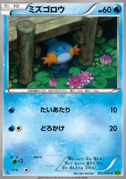 Mudkip (JP)