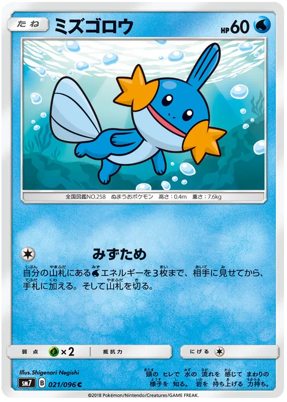 Mudkip (JP)