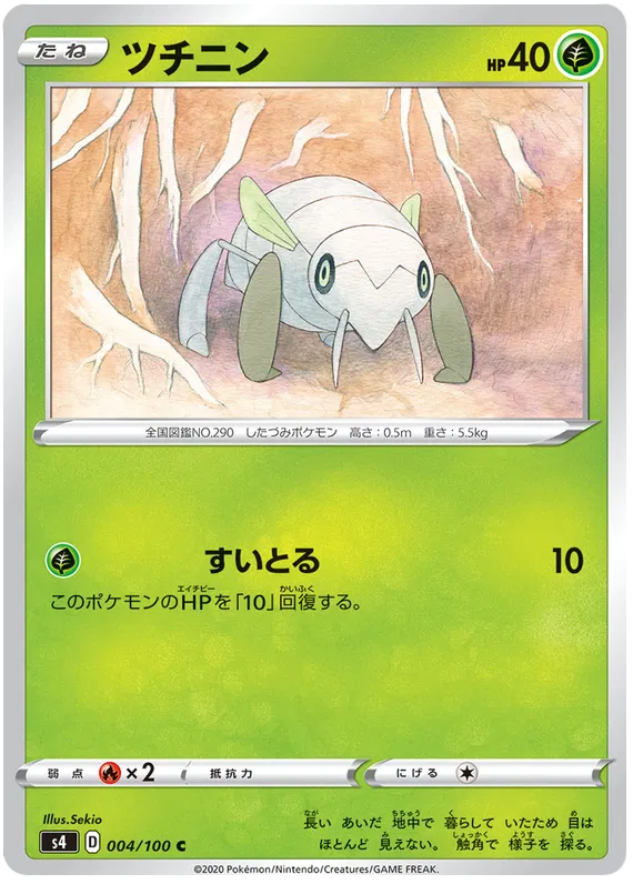 Nincada (JP)