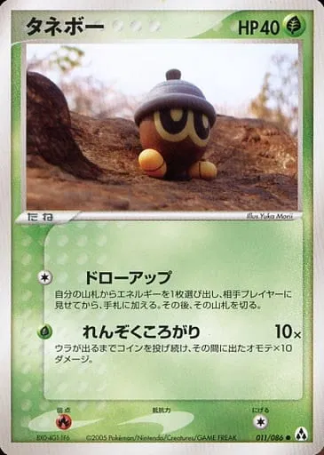Seedot (JP)