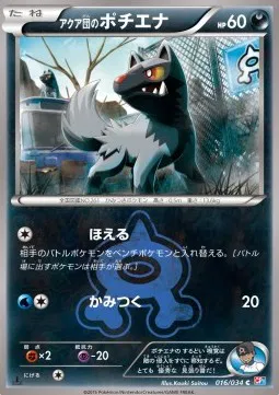 Team Aqua's Poochyena (JP)