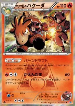 Team Magma's Camerupt (JP)