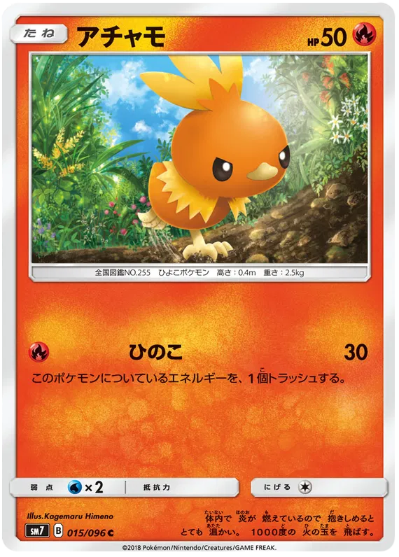 Torchic (JP)