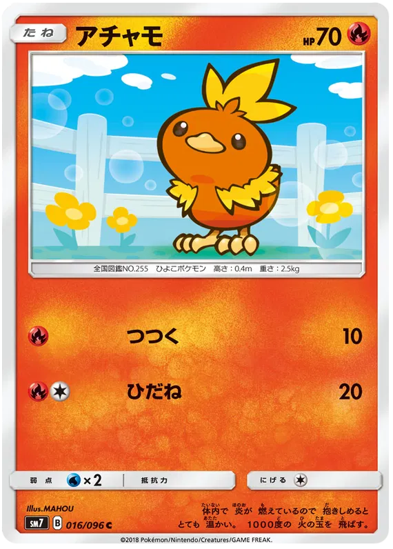 Torchic (JP)