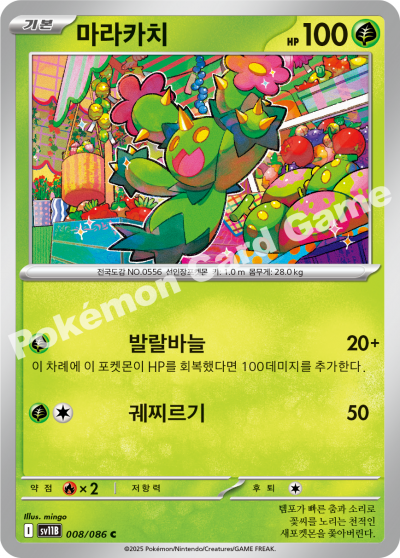Maractus