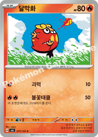 Darumaka