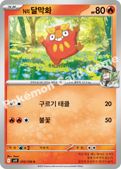 Darumaka